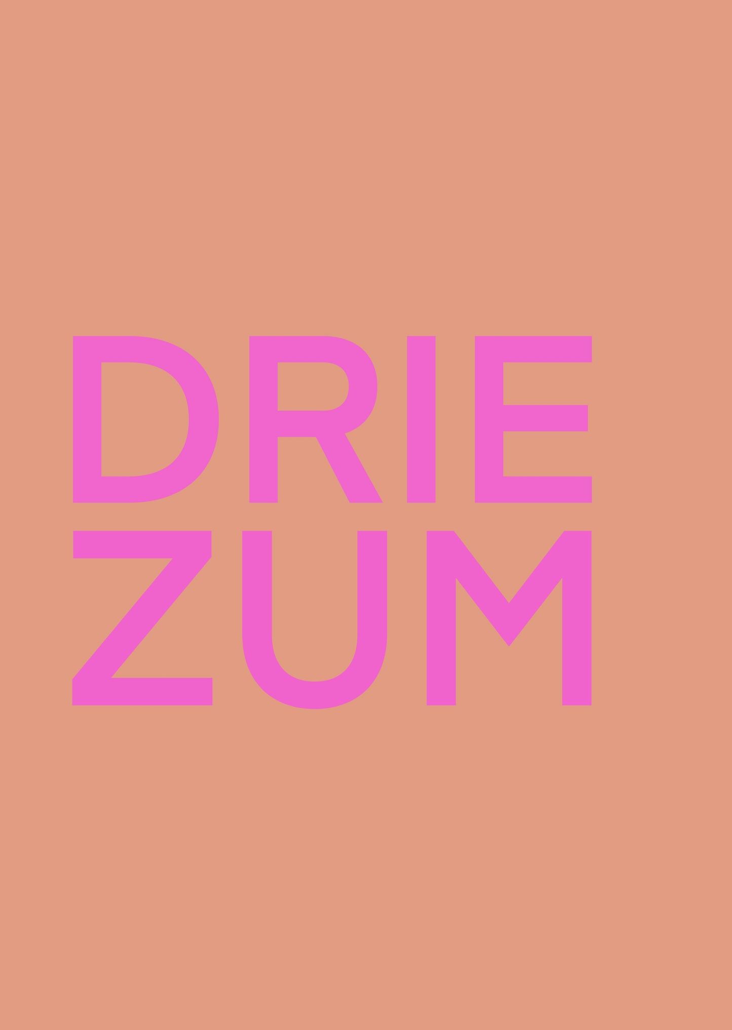 DRIEZUM POSTER ROZE