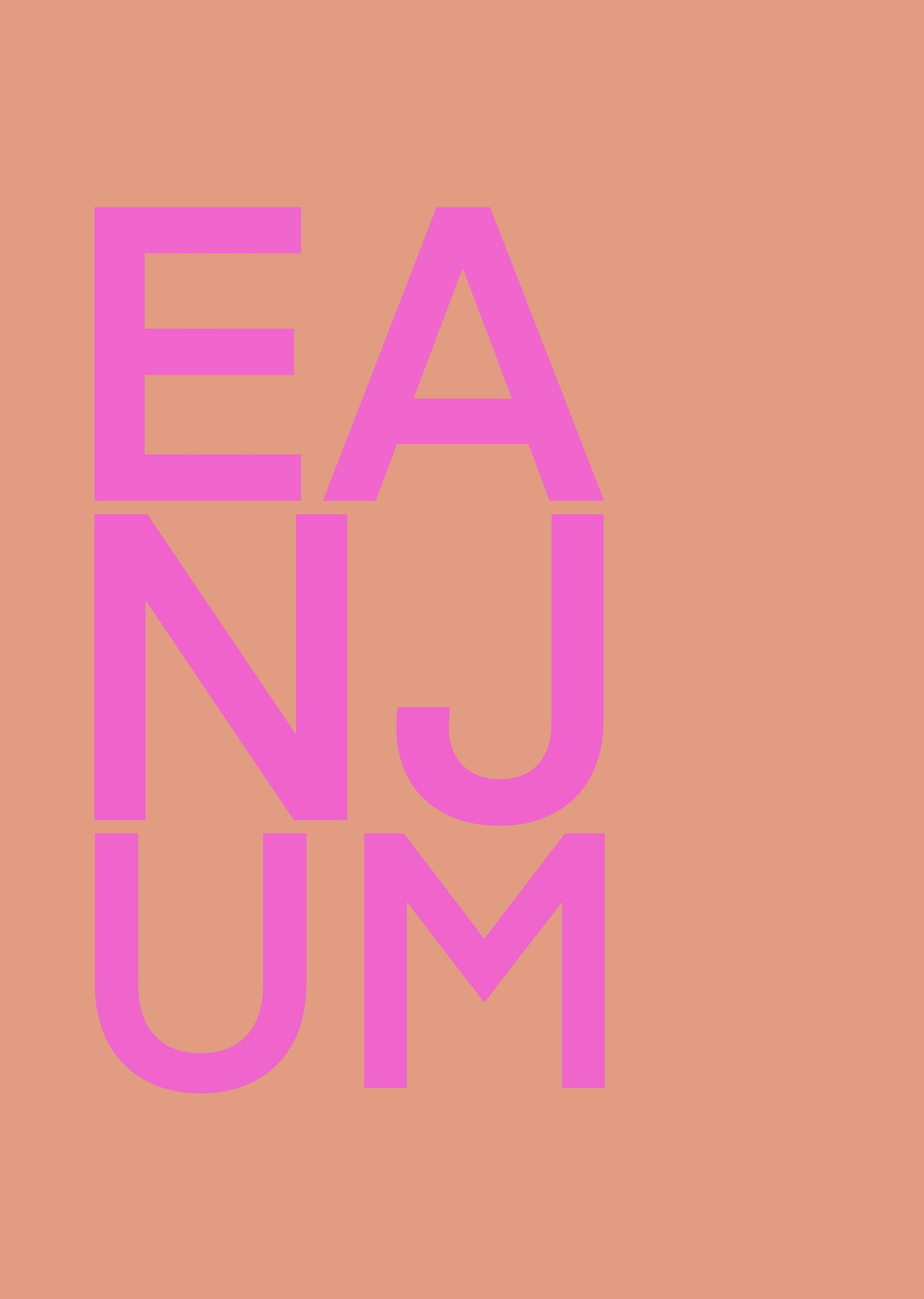 EANJUM ROZE POSTER INGELIJST