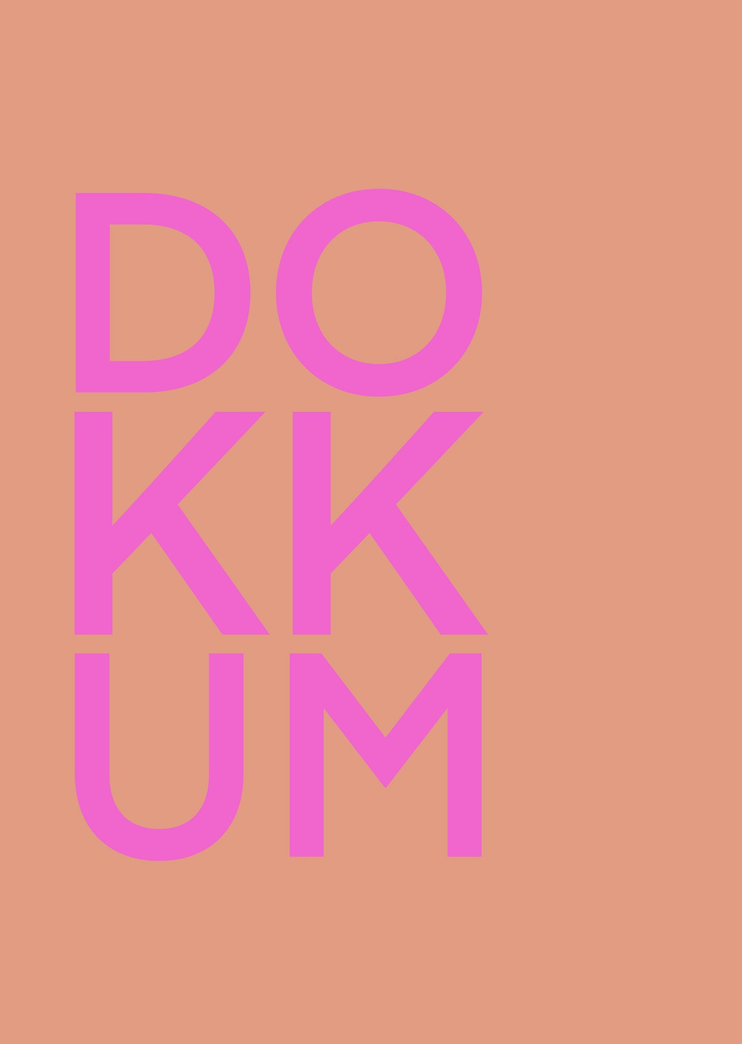 DOKKUM POSTER ROZE