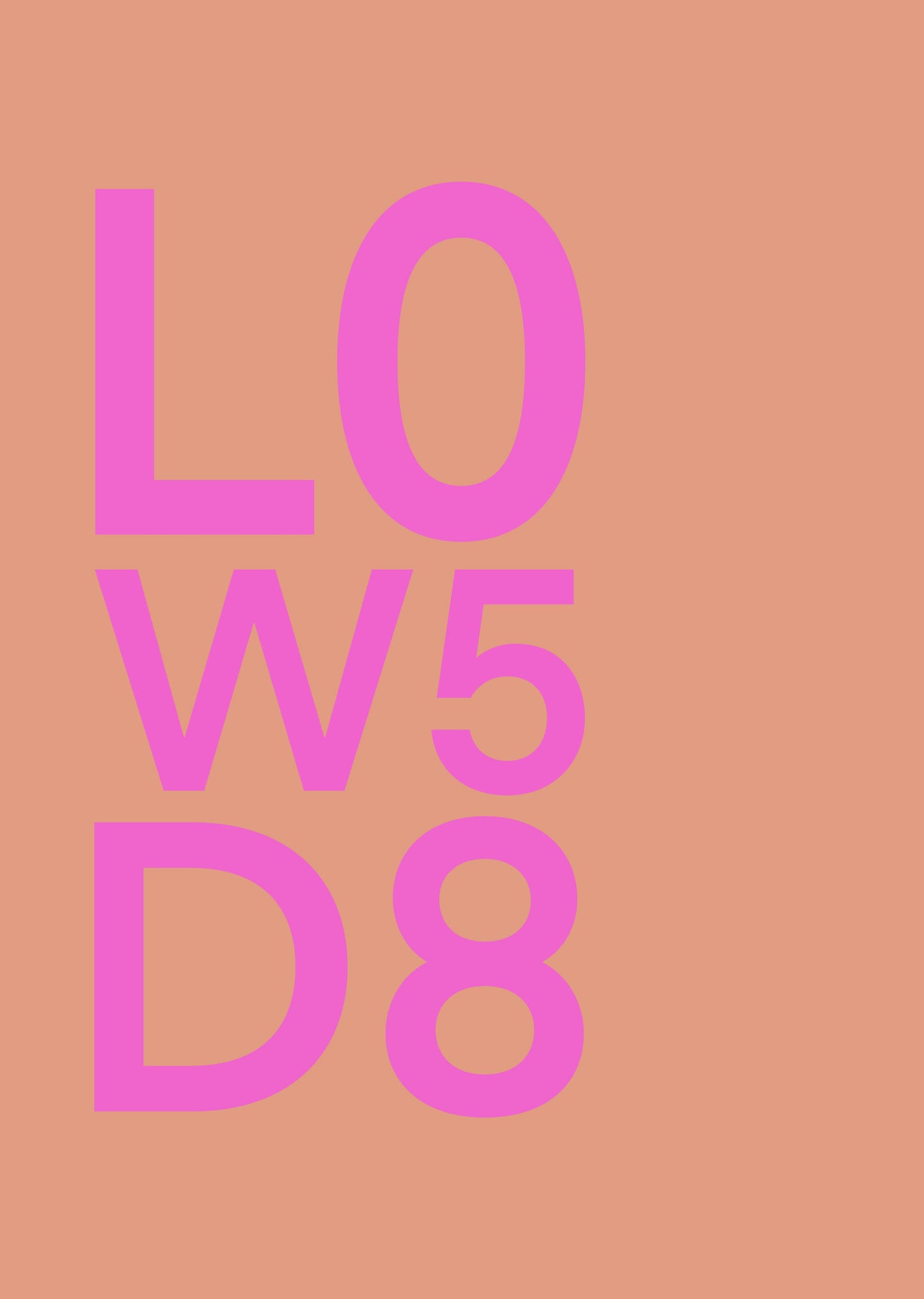 LEEUWARDEN ROZE POSTER INGELIJST