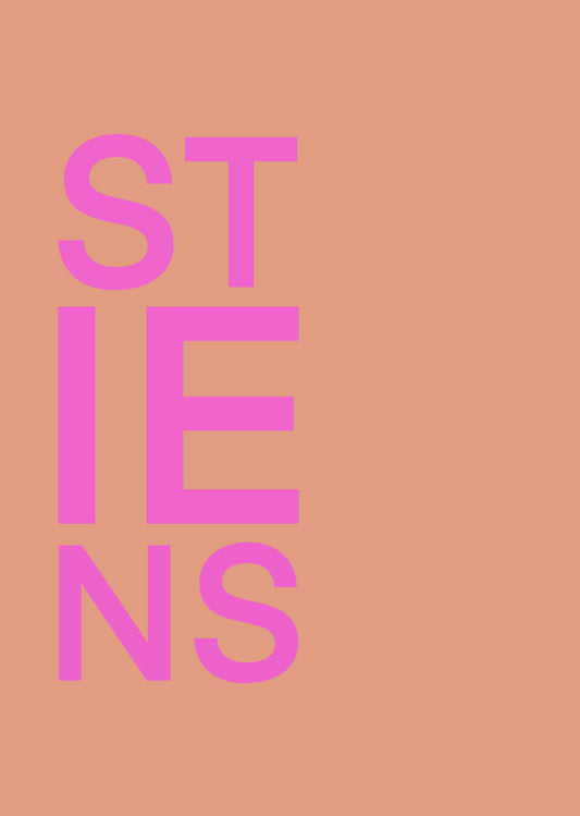 STIENS ROZE POSTER INGELIJST