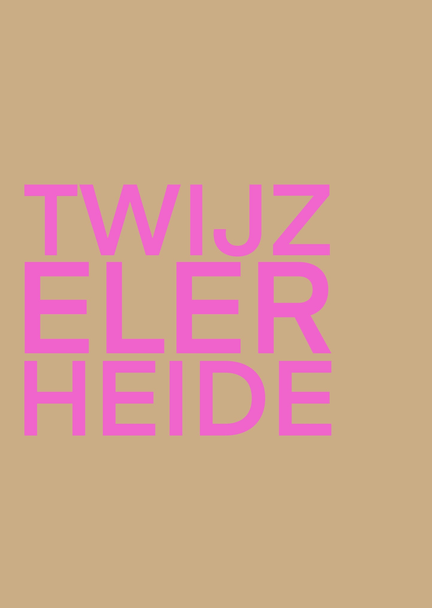 TWIJZELERHEIDE POSTER INGELIJST