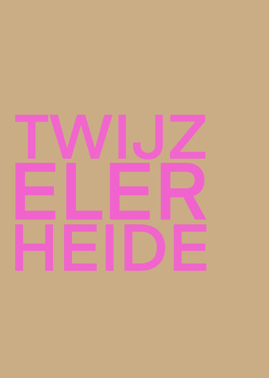 TWIJZELERHEIDE POSTER INGELIJST