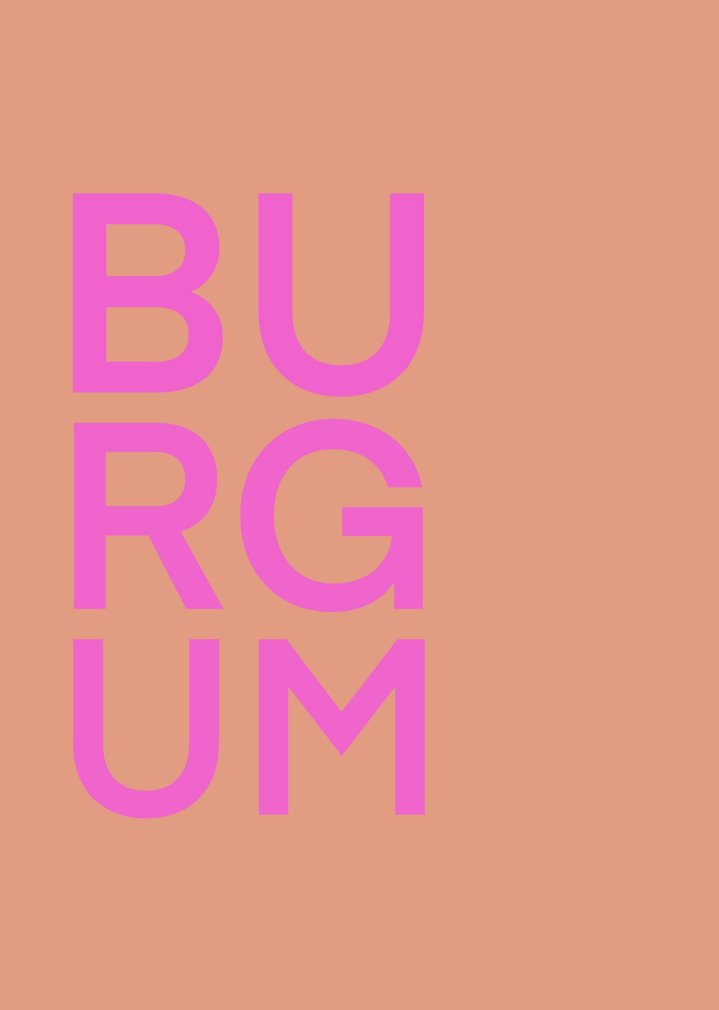 BURGUM POSTER ROZE