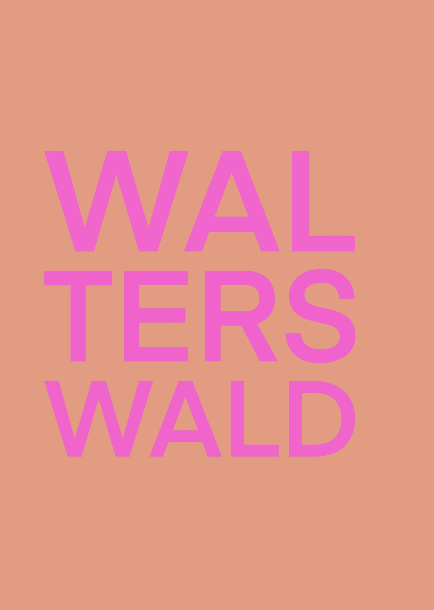 WALTERSWALD ROZE POSTER INGELIJST